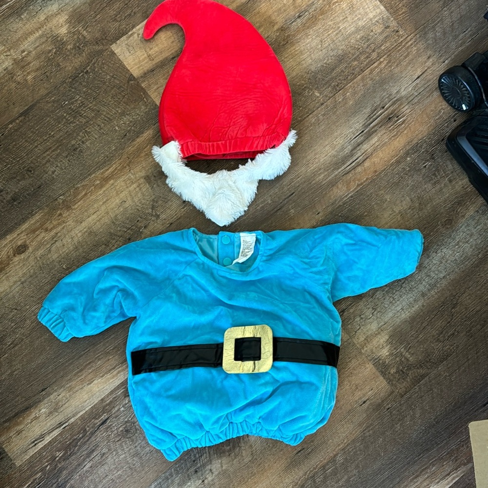 Gnome costume